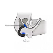 Rocks Off Rude Boy 7 speed vibrator with a curved design, highlighting the prostate and perineum stimulation areas.