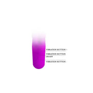 Valentine dual ear rabbit vibe in purple with three vibration buttons labeled for control.