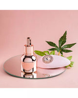 High On Love Pave Grace Gift Set