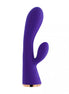 Purple silicone vibrator with a curved shaft and a clitoral stimulator, featuring a gold base.