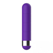 Purple bullet vibrator with a smooth surface and silver base, designed for discreet pleasure.