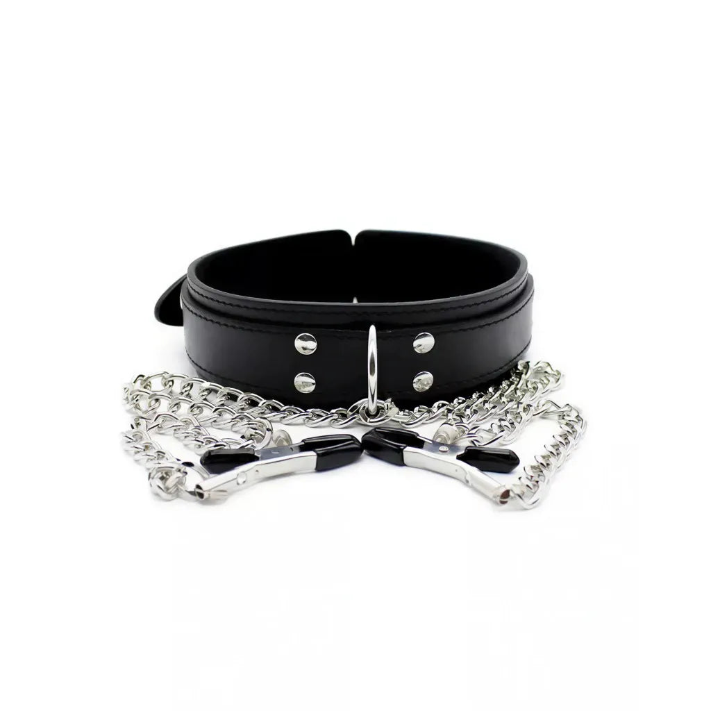 Black leather bdsm collar with silver nipple clamps on a white background