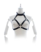 Share Satisfaction Kinki Harness