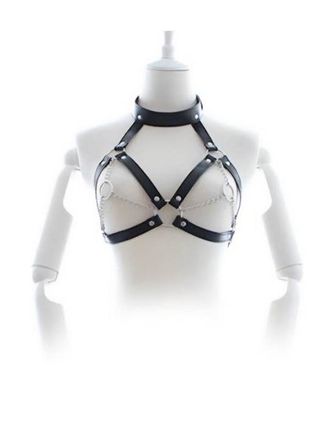 Share Satisfaction Kinki Harness