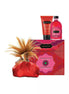 Kama Sutra Treasure Trove set featuring a red pouch, strawberry cream lotion, and body wash in pink packaging.